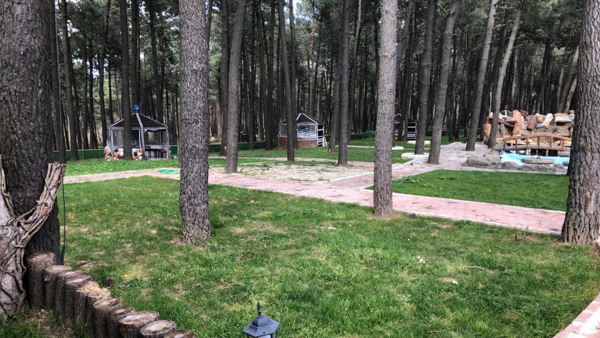 Taşoluk Orman Parkı