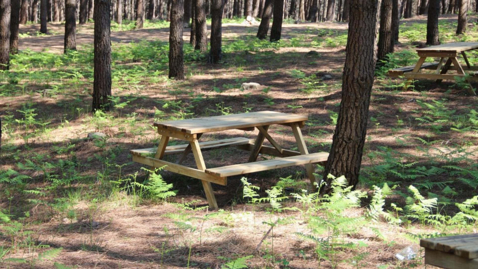 Çiçekçiler Orman Parkı