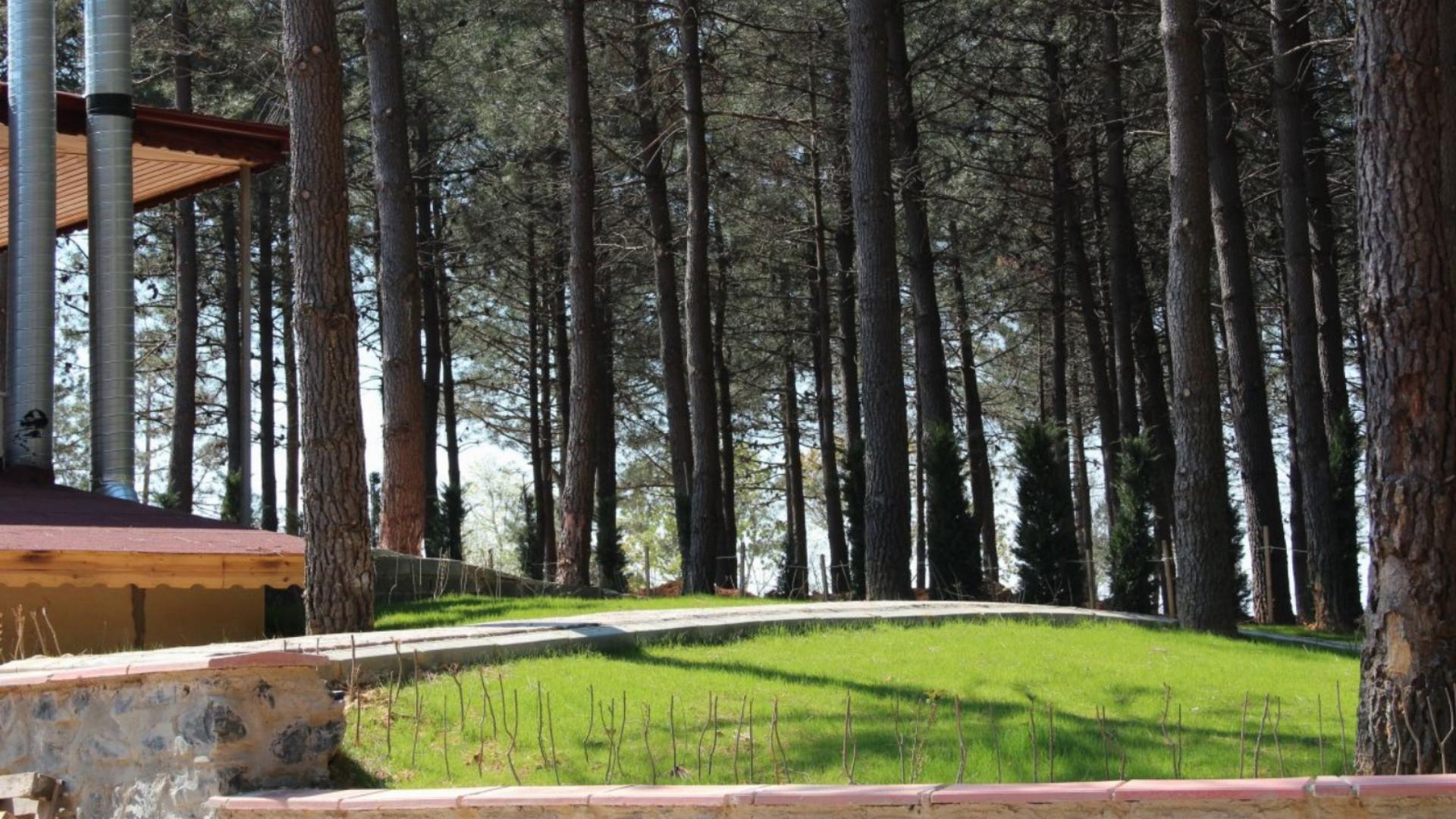 Çiçekçiler Orman Parkı
