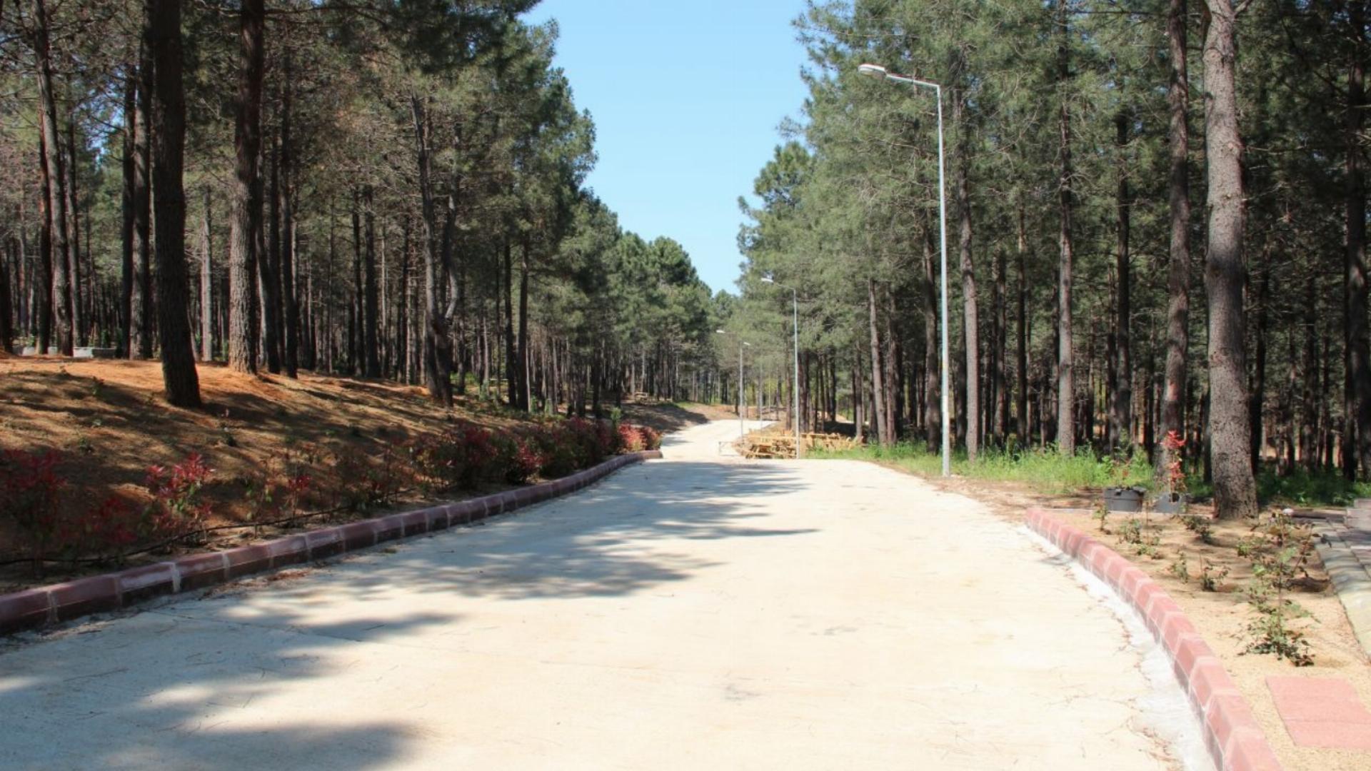 Çiçekçiler Orman Parkı