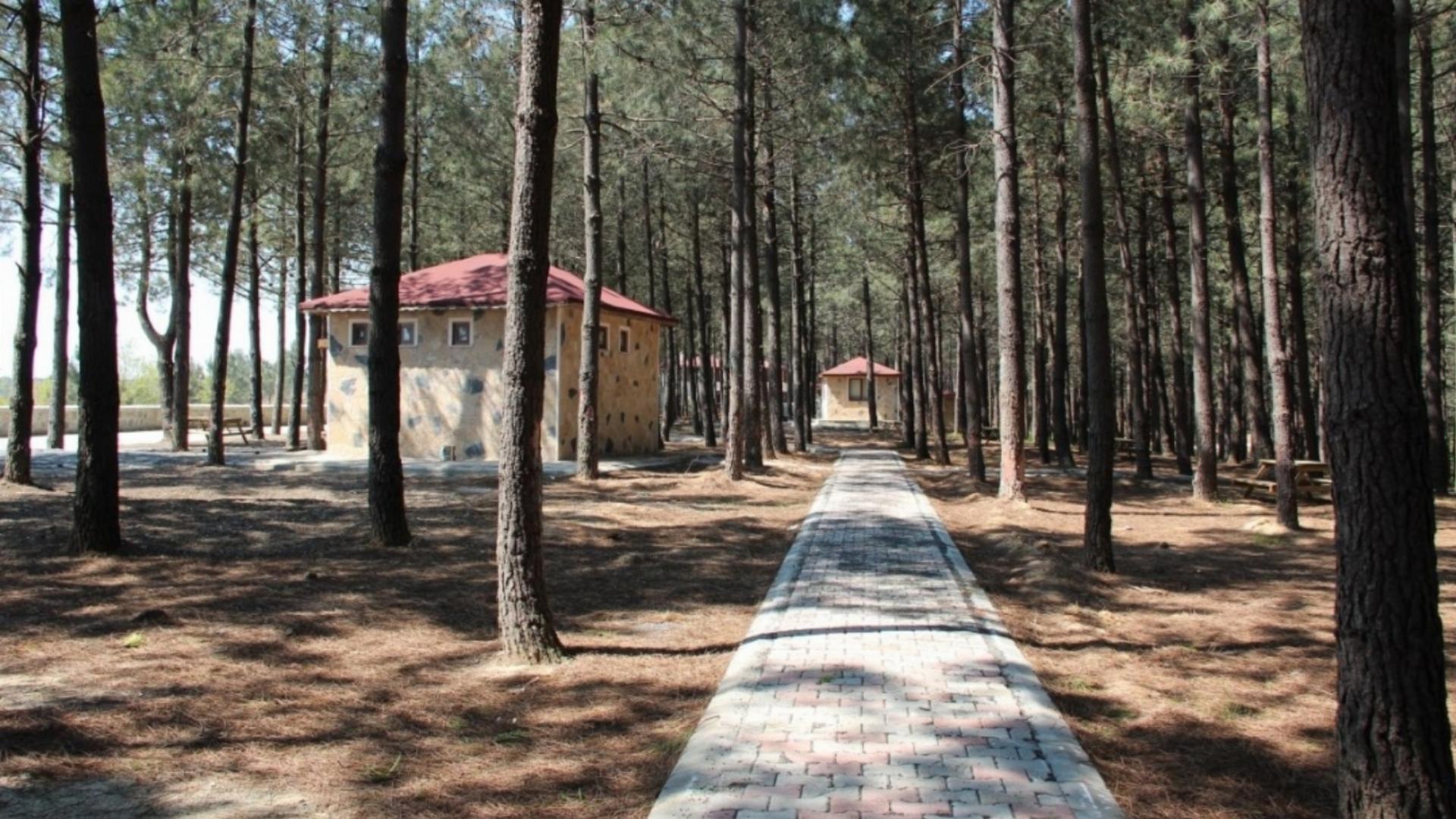 Çiçekçiler Orman Parkı