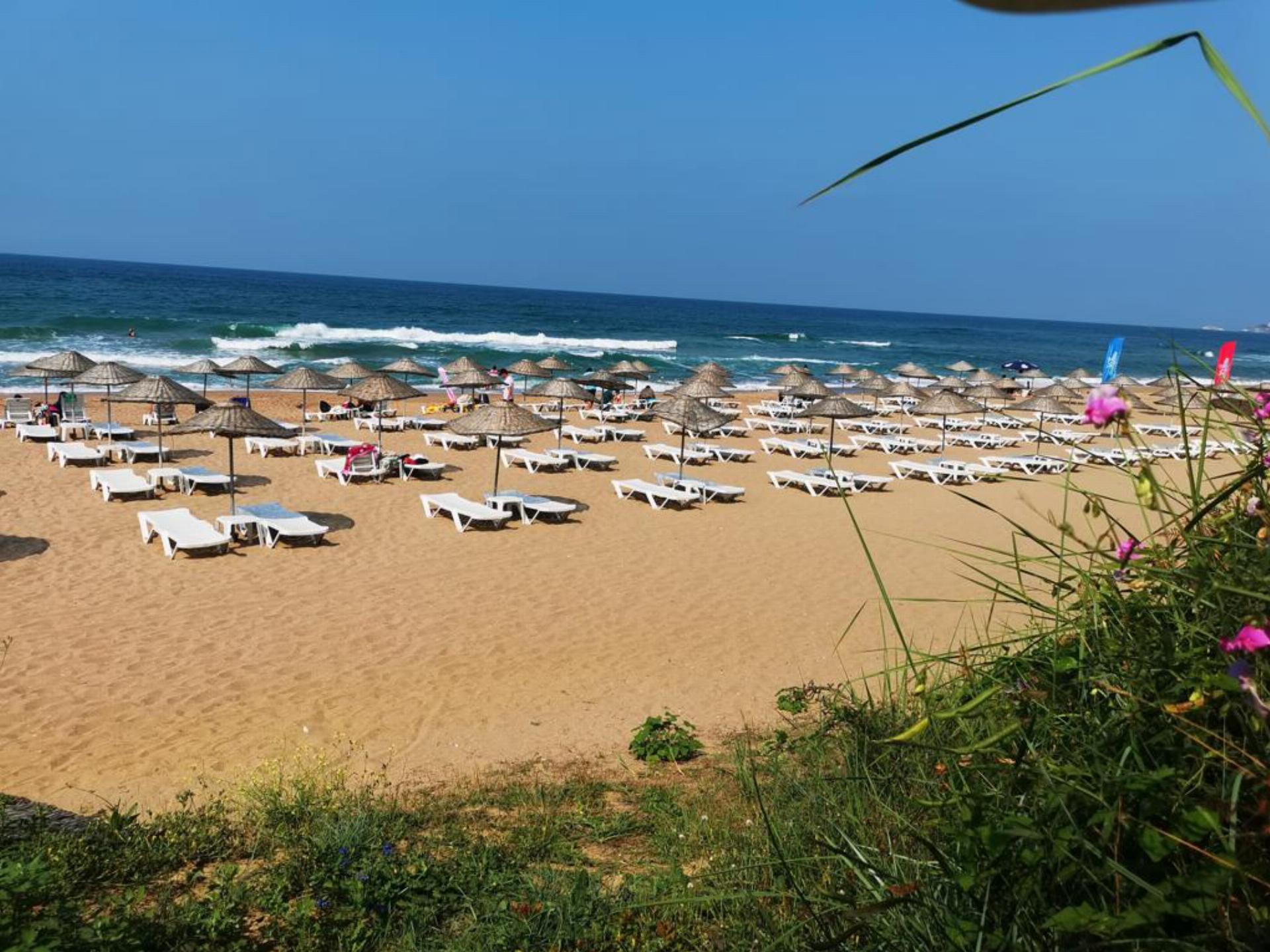 Kızılcaköy Çamurpınar Orman Parkı