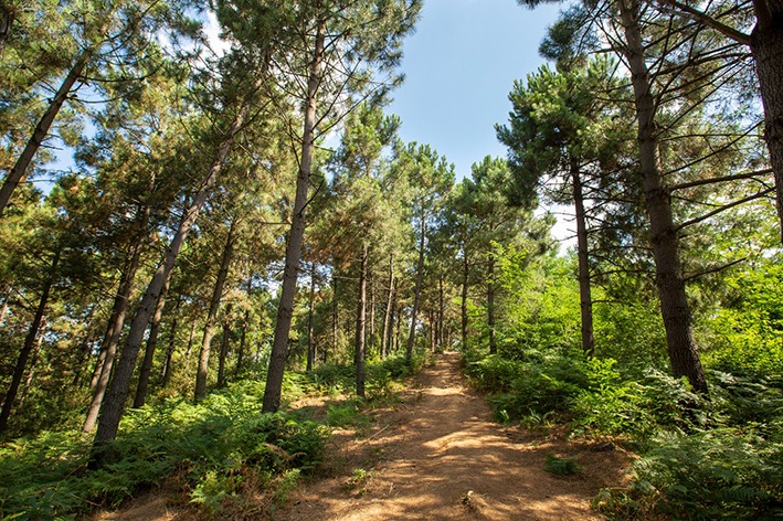 Kurtyolu Orman Parkı