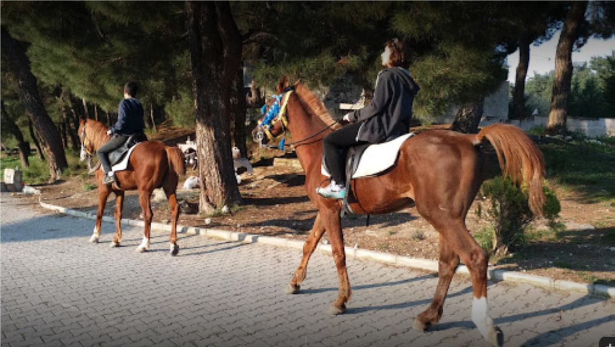 Çiçekliköy Eğitim Amaçlı Ekoturizm Alanı
