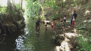 Antik Dara Ekoturizm Alanı