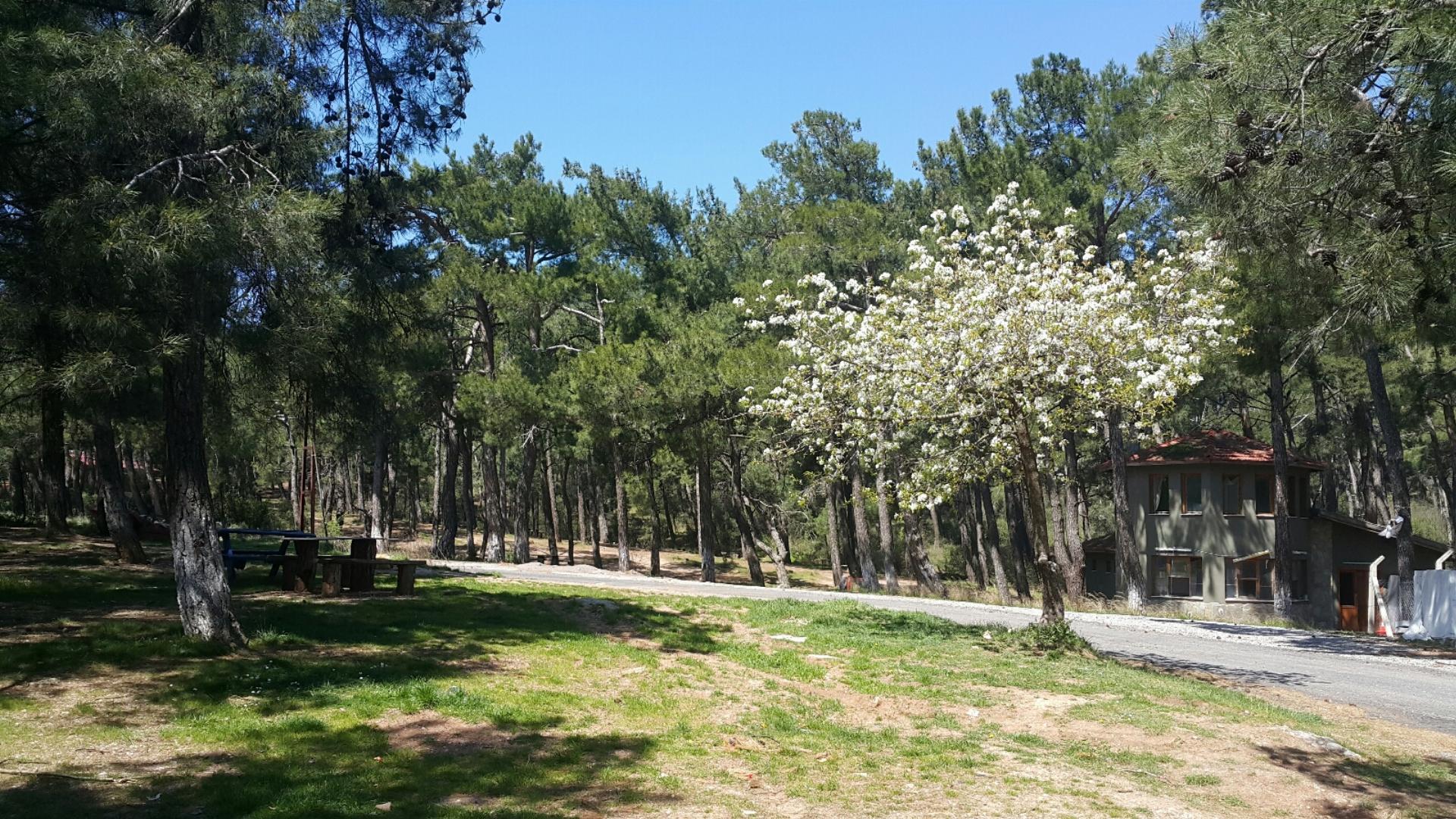 Karabel Orman Parkı