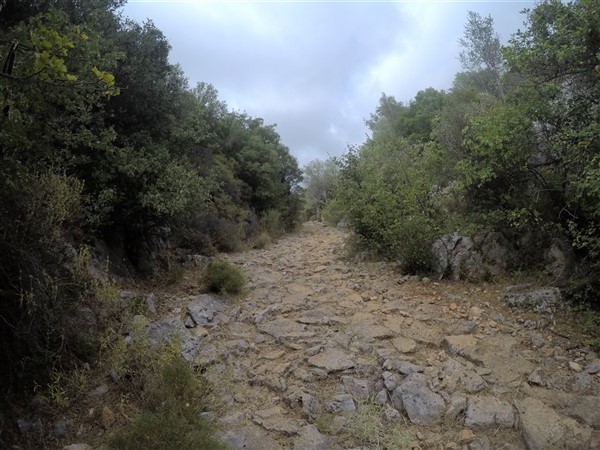 Topçu Yolu Ekoturizm Alanı