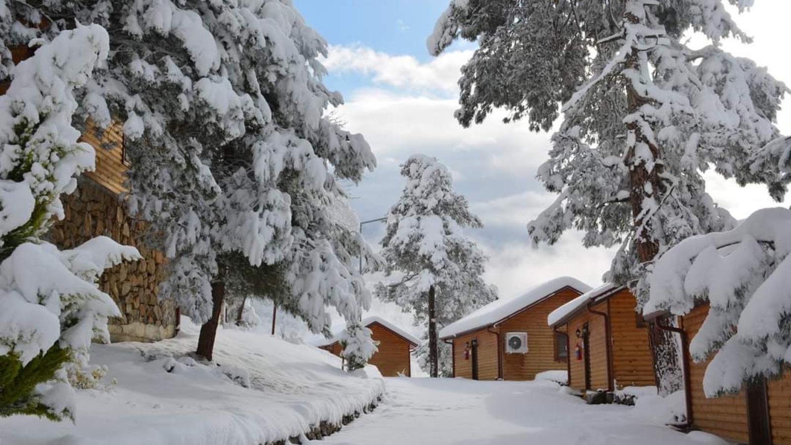 Yazıköy Orman Parkı