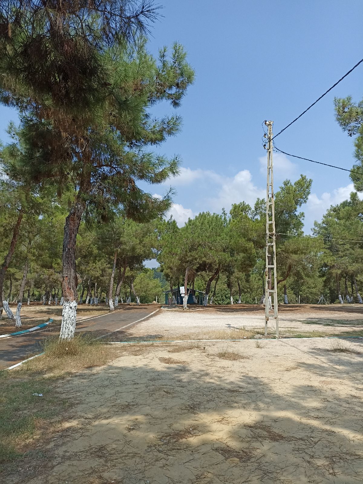 Sarıçam Yörük Ormanı