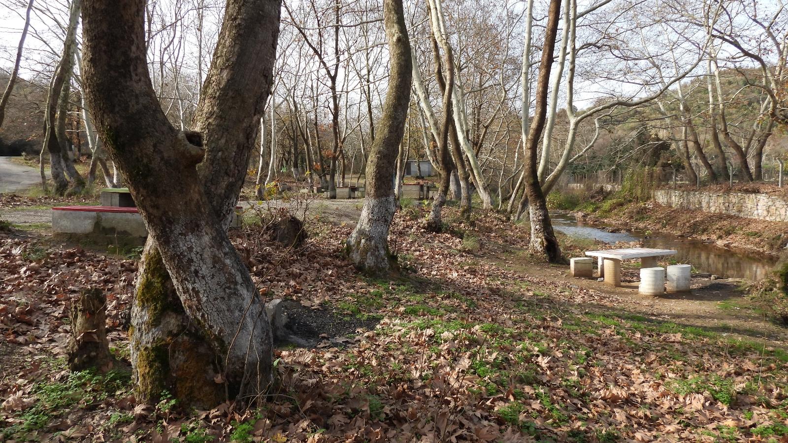 Çaylak Orman Parkı