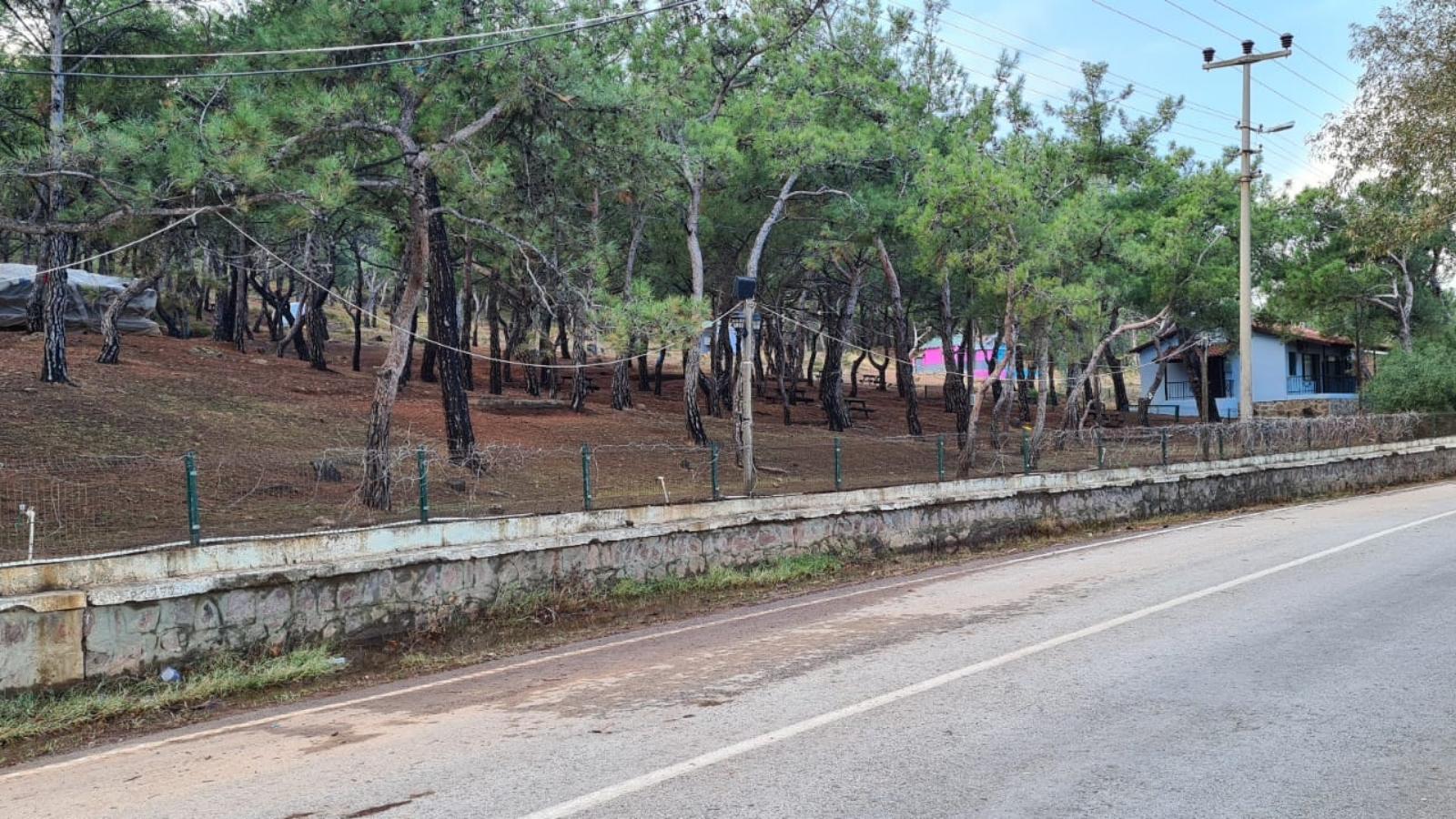 Ayvalık Çamlık Orman Parkı 