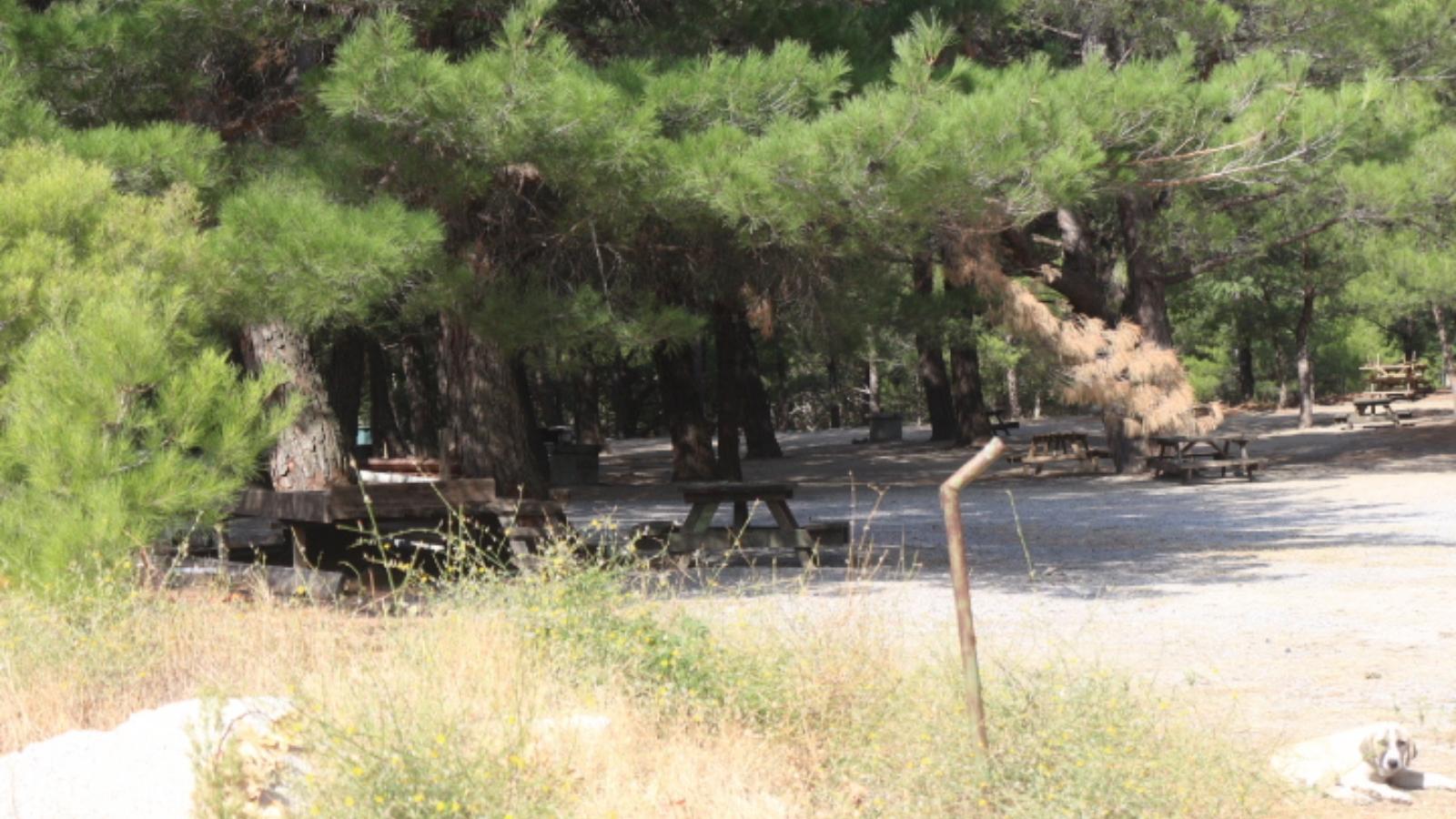 Talimalanı Orman Parkı