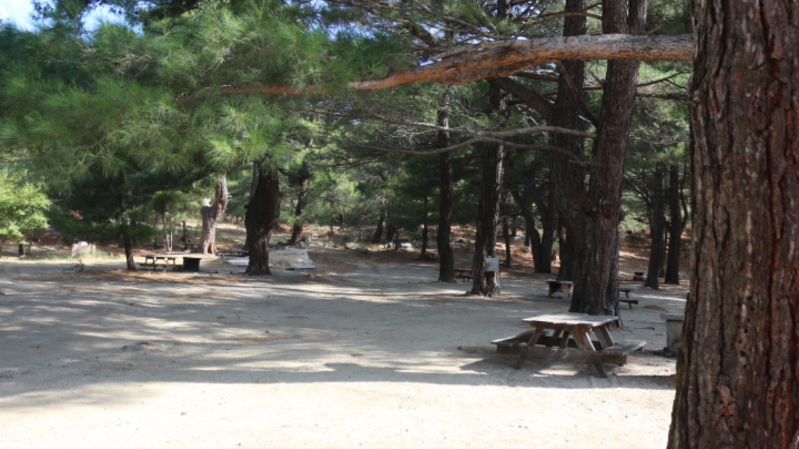 Talimalanı Orman Parkı