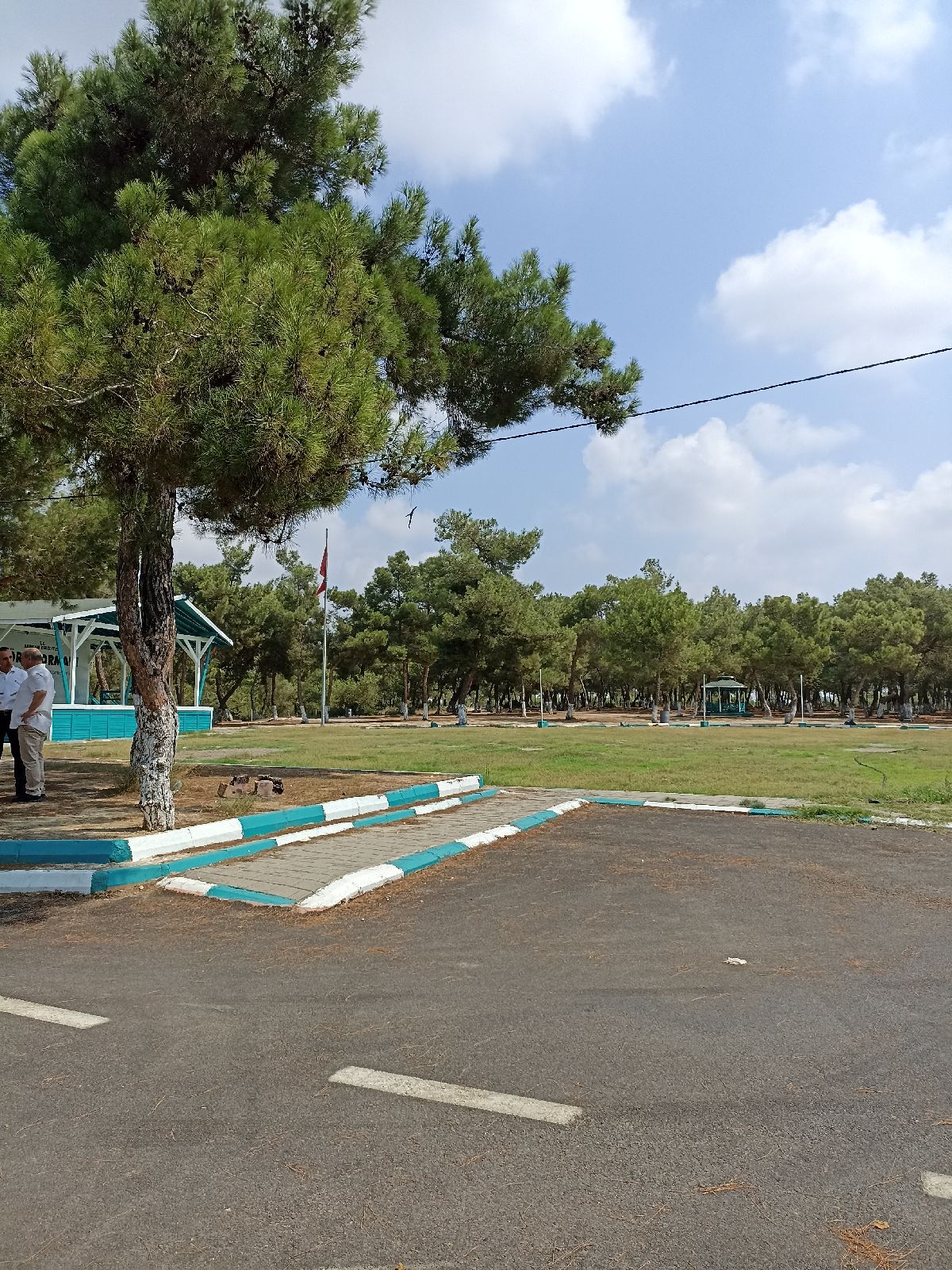 Sarıçam Yörük Ormanı