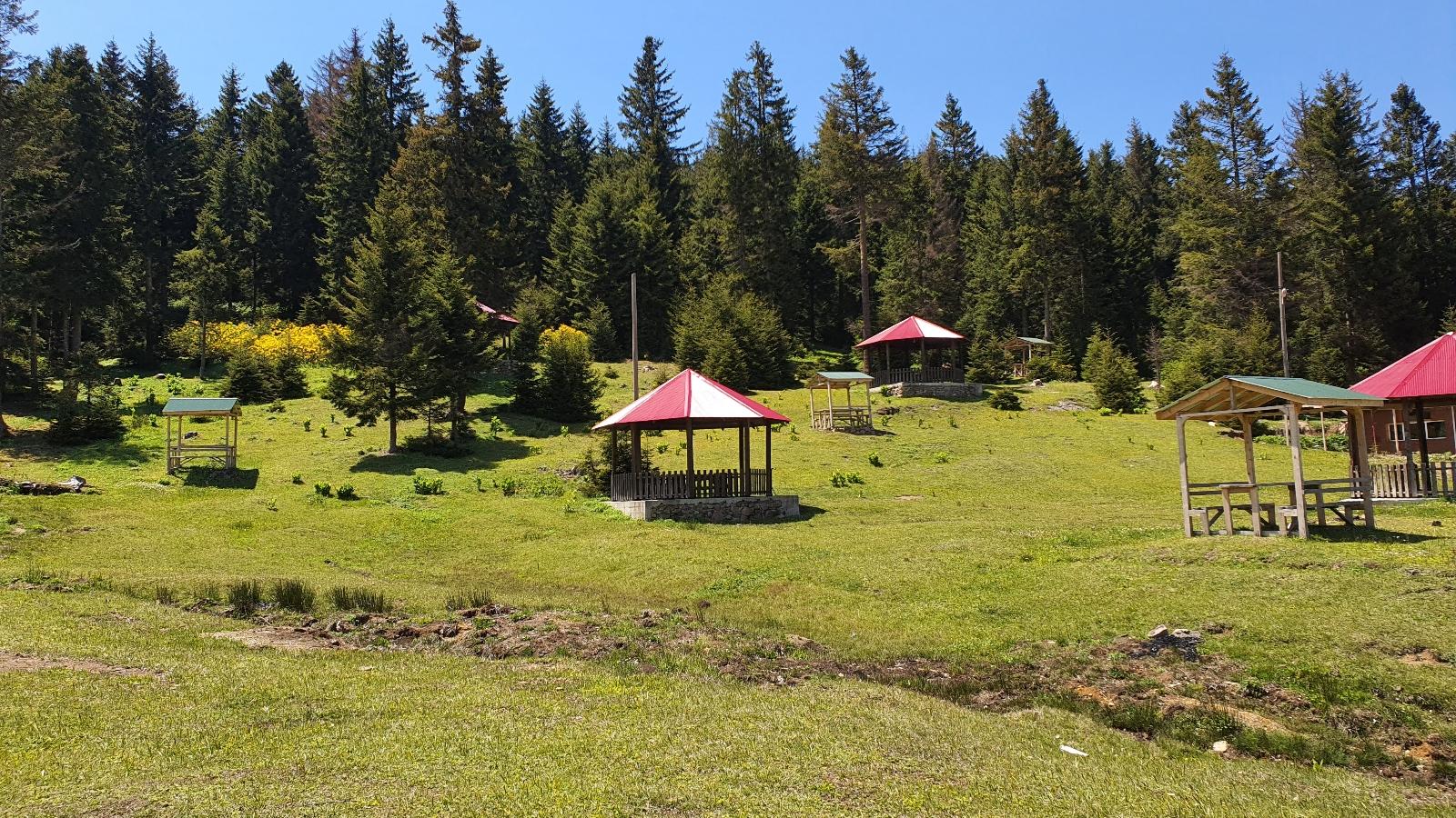 Dorukdüzü Orman Parkı