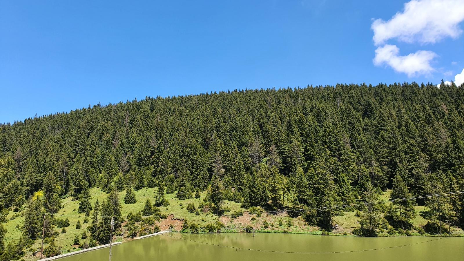 Dorukdüzü Orman Parkı
