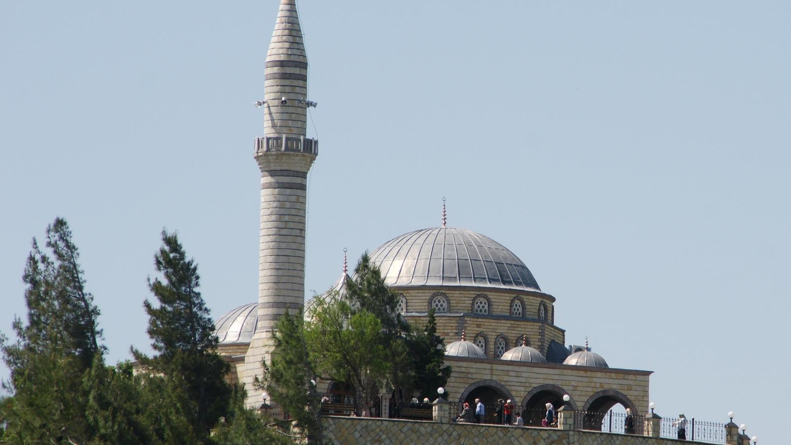 Malik Bin Ejder Orman Parkı