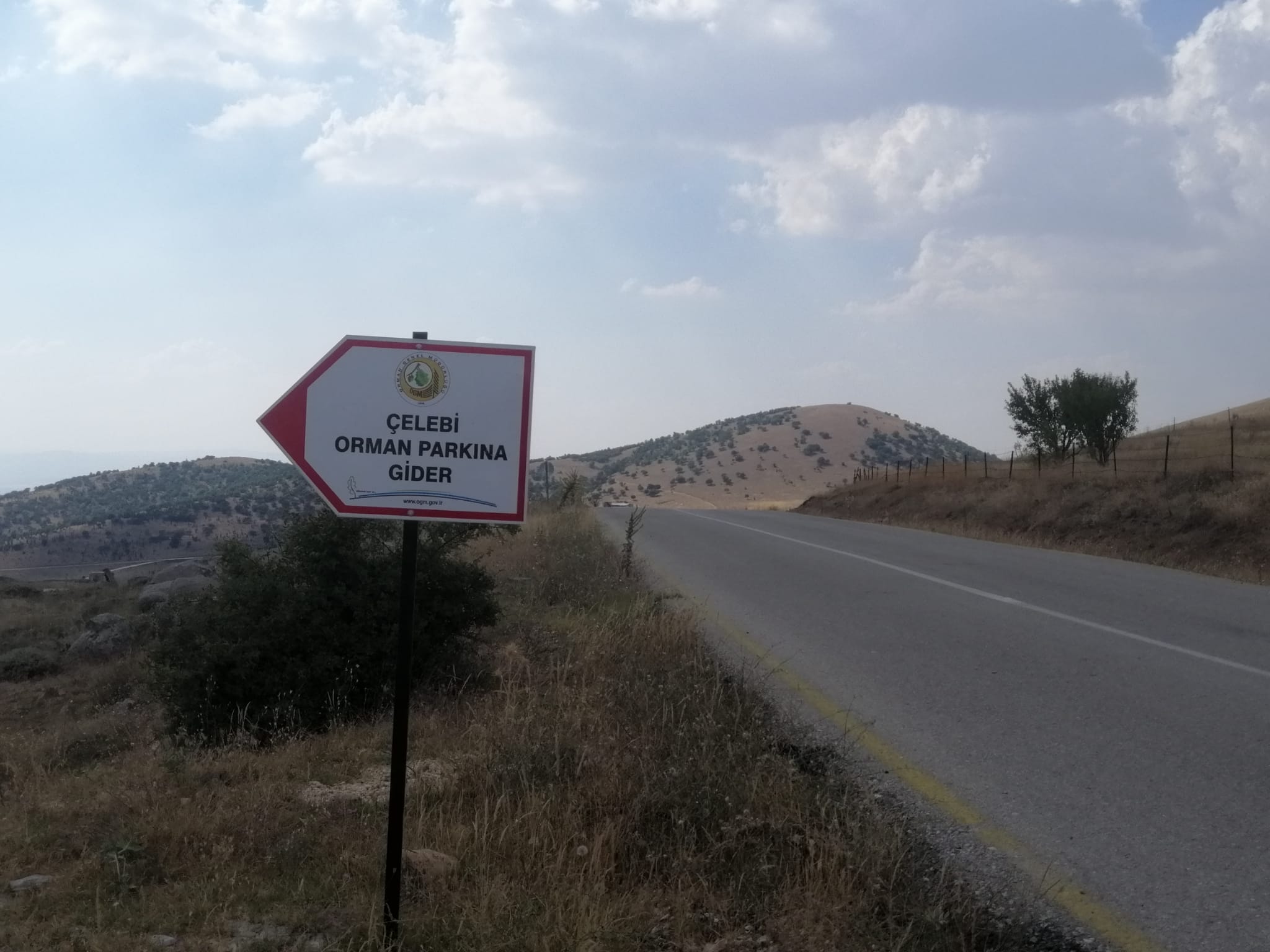 Çelebi Orman Parkı