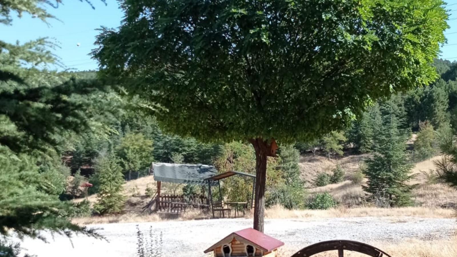 Yukarıçakmak Orman Parkı
