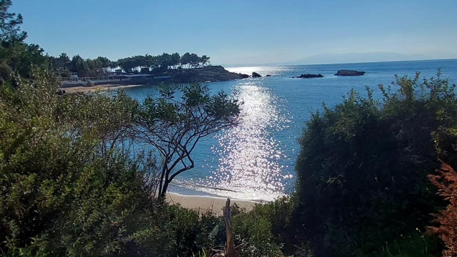 Kalemlik Orman Parkı 