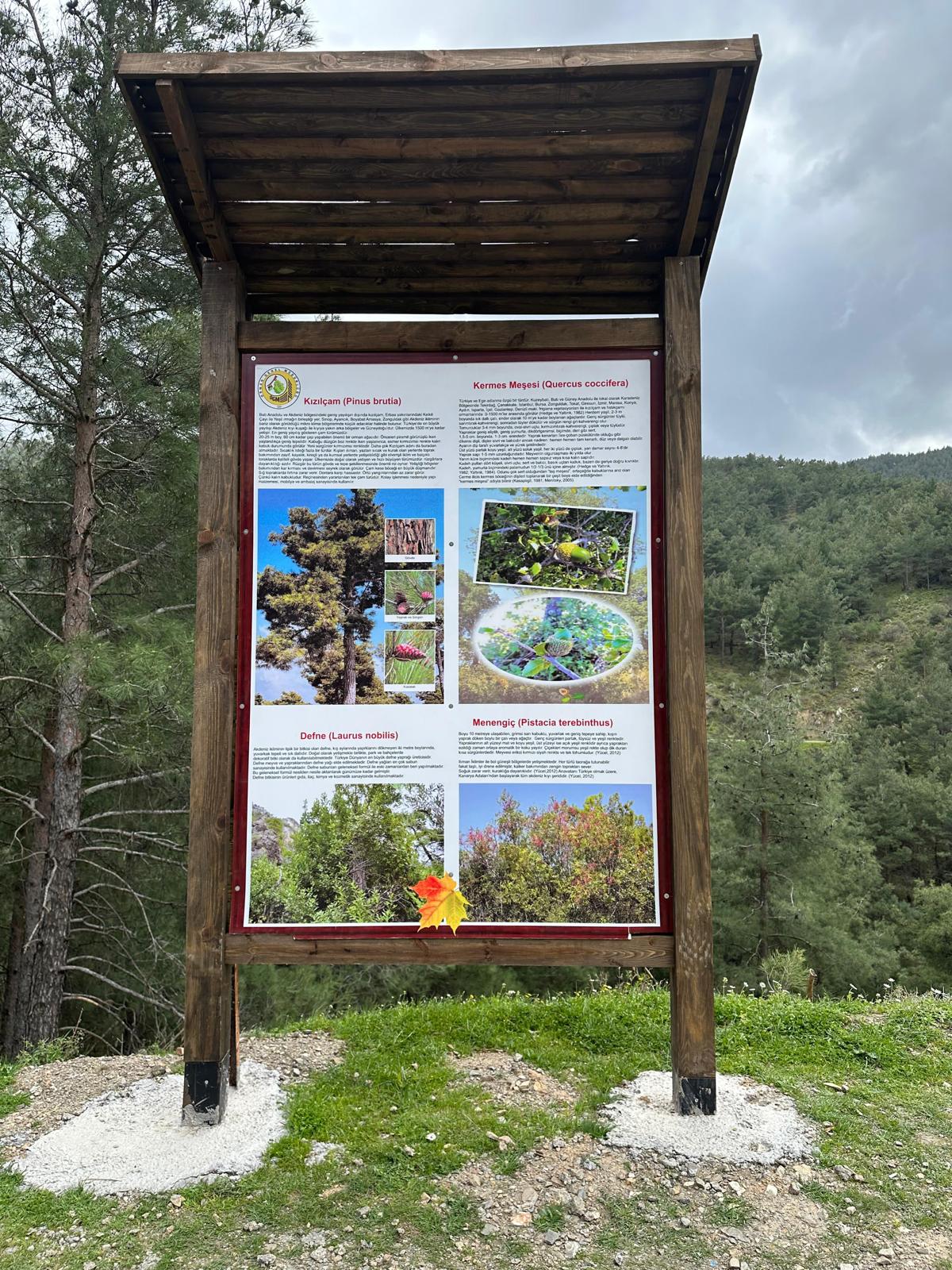 Uncubozköy Ekoturizm Alanı