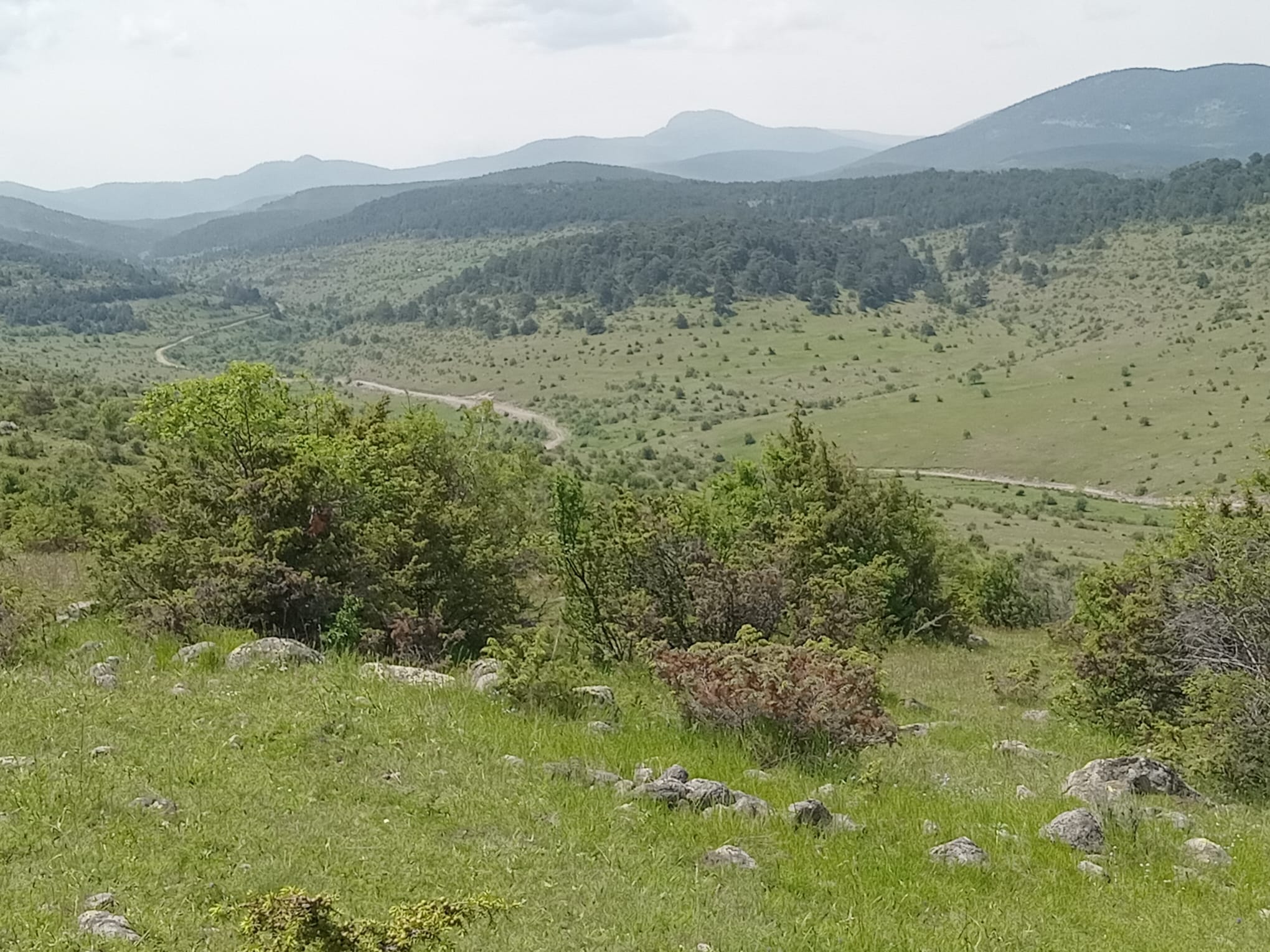 Dörtdivan Sorkun Ekoturizm Alanı